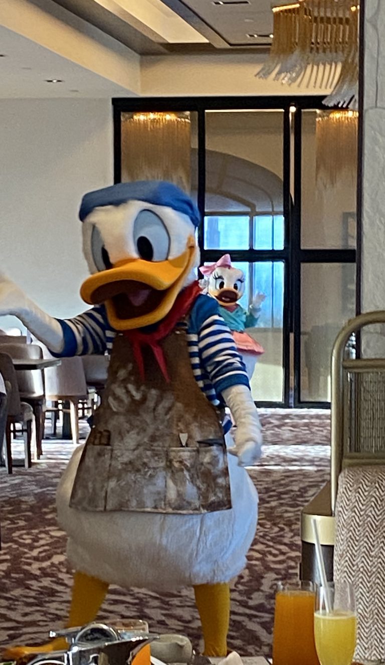 Disney Dining Character