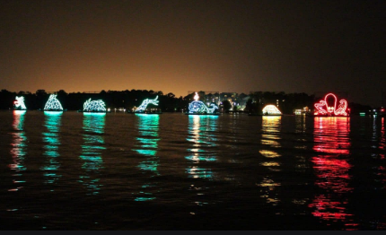 Electric Water Pageant