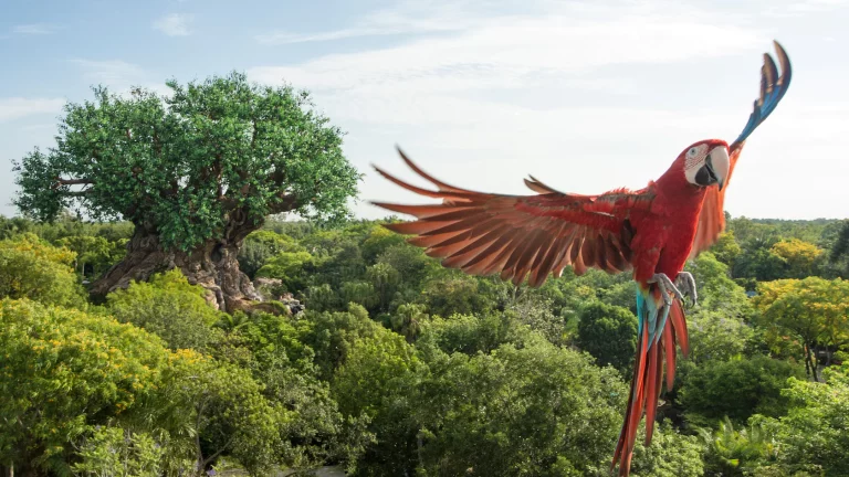 Best Ways to See the Animals in Animal Kingdom - MousekeMoms Blog